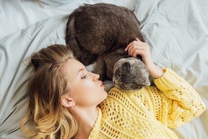 Comment les chats donnent-ils des baisers aux humains ?