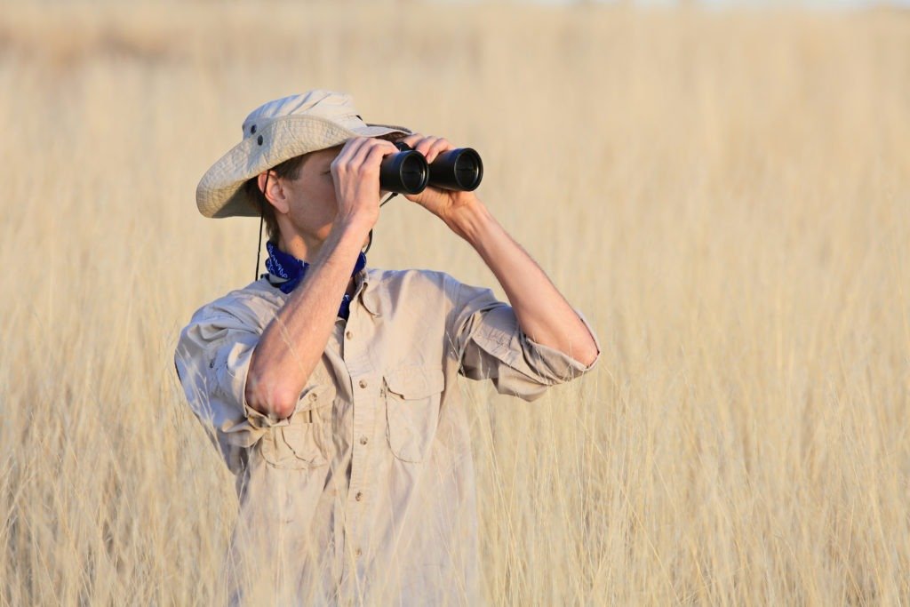 Homme dans le safari regardant à travers des jumelles.