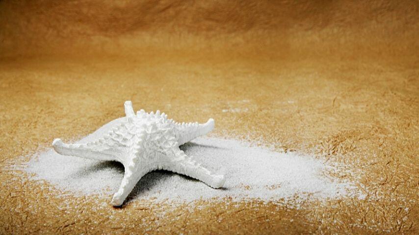 Placez l'étoile de mer dans une assiette pleine de sel pour éliminer l'excès d'eau et d'humidité de son corps.